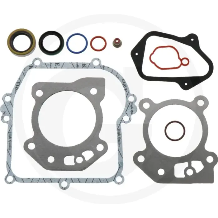 Favoriet Afdichtset Briggs & Stratton 08P500, 09P600...