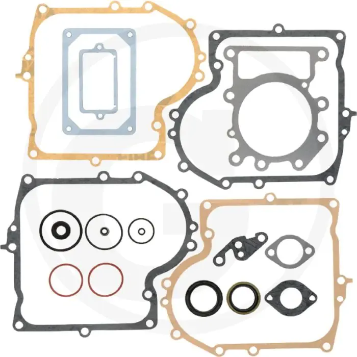 Afdichtset Briggs & Stratton 310700 Hoge Kwaliteit