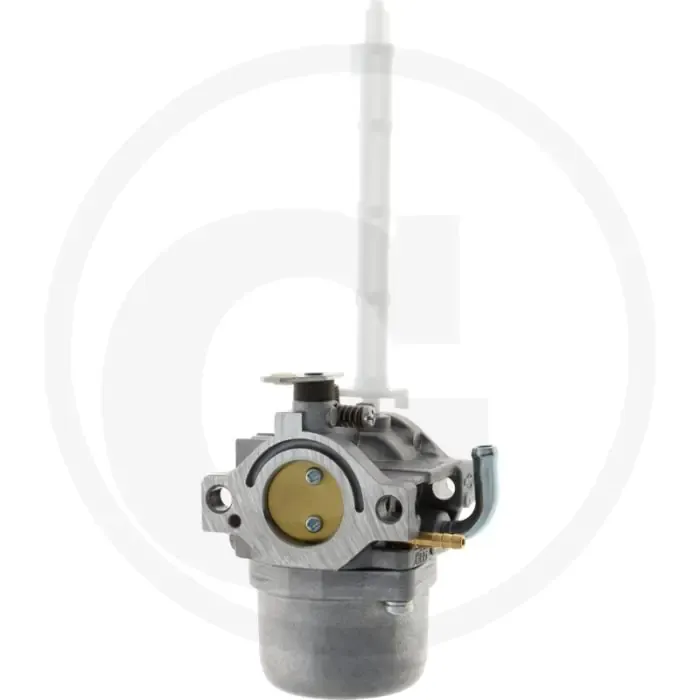 Briggs & Stratton Carburateur 20M100-21P200 Premium
