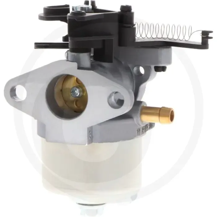 Briggs & Stratton Carburateur Type: 090600, 100600, 100800, 101600 Nieuw