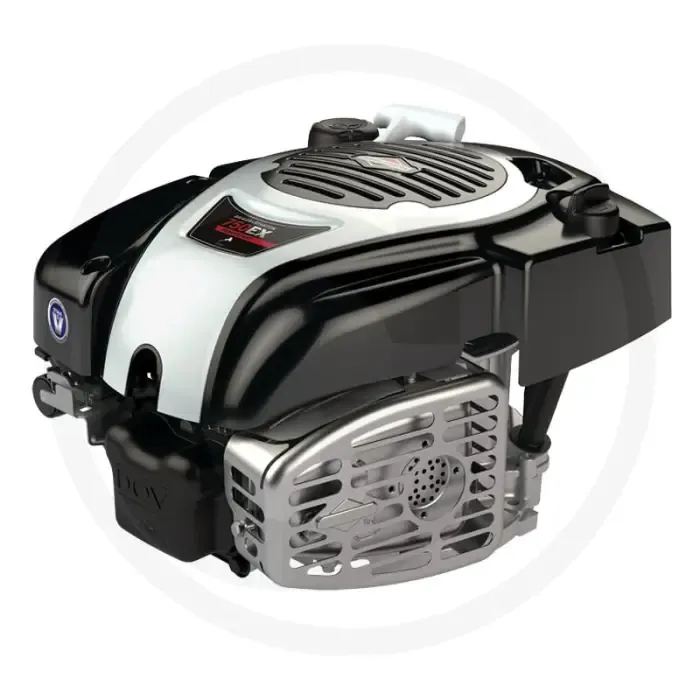 Laatste Kans Briggs & Stratton Motor (750EX serie I/C DOV)