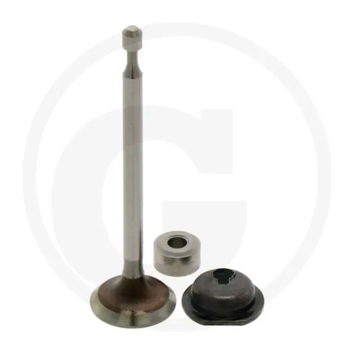 Briggs & Stratton Uitlaatklep 09P602 Merkproduct