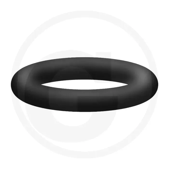 Nieuw O-ring 10 x 2,2 mm