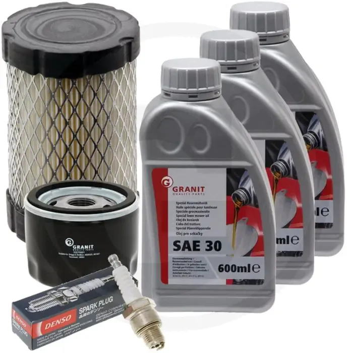 Exclusieve Aanbieding Onderhoudskit voor Briggs & Stratton Model 31R
