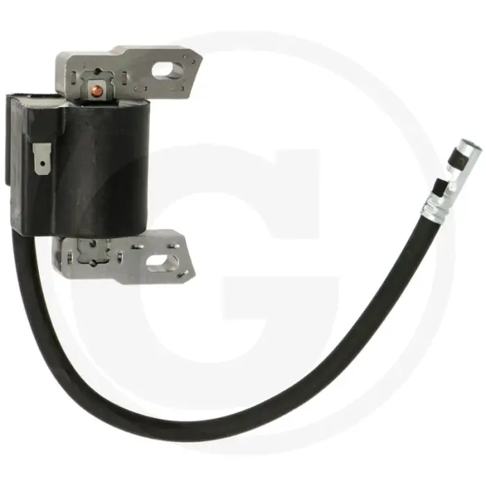 Shop Nu Ontstekingsspoel Briggs & Stratton 127702.