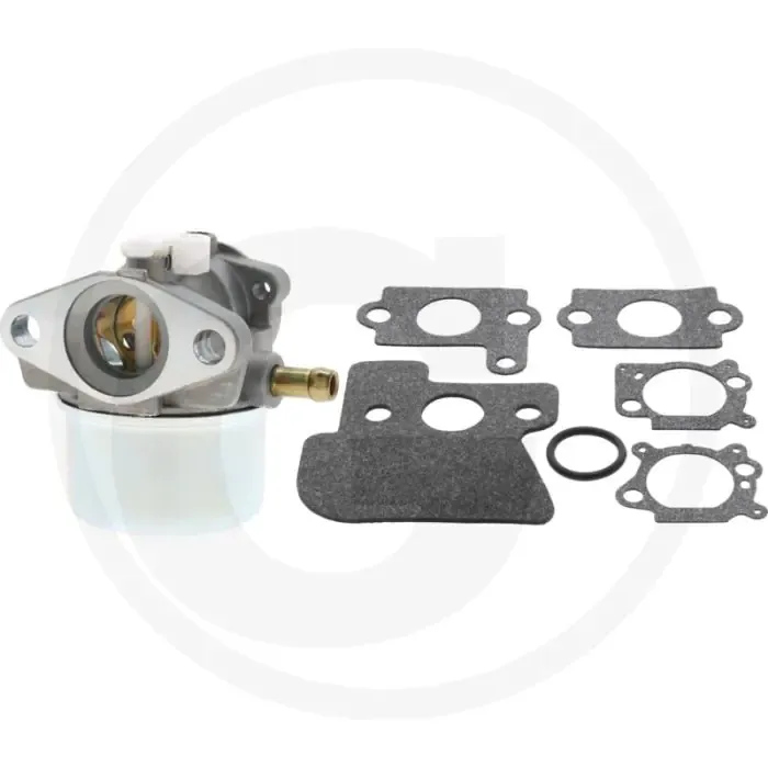 Gecertificeerd Vergaser 12E600. Briggs & Stratton Carburateur compleet.