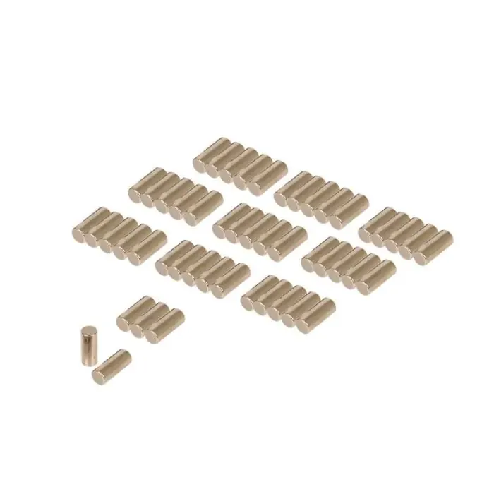 Naaldhuls Lager (50 stuks) Superprijs