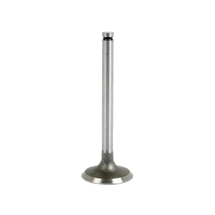 Inlaatklep, +0.003'' (0.076mm) Alleen Vandaag