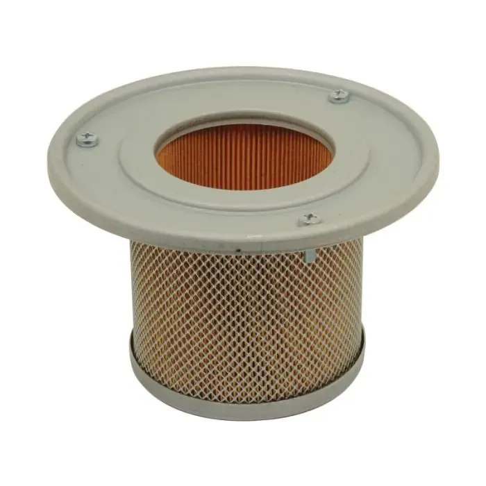 Luchtfilter - binnen - AF25301 Weekendaanbieding