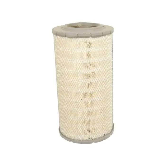 Goedkoop Luchtfilter - buiten - AF25617