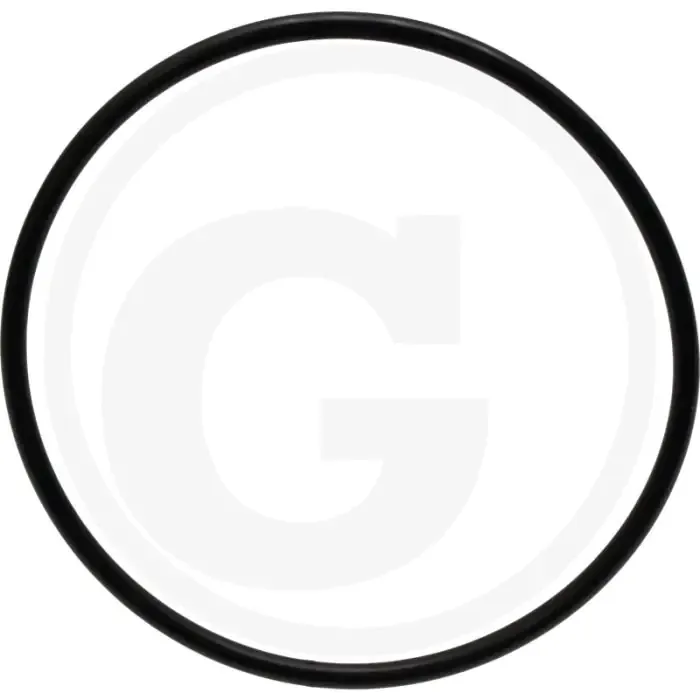 Seizoensaanbieding O-ring (Cilinderbus)