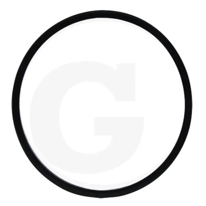 Aanbieding O-ring (Filterglas)