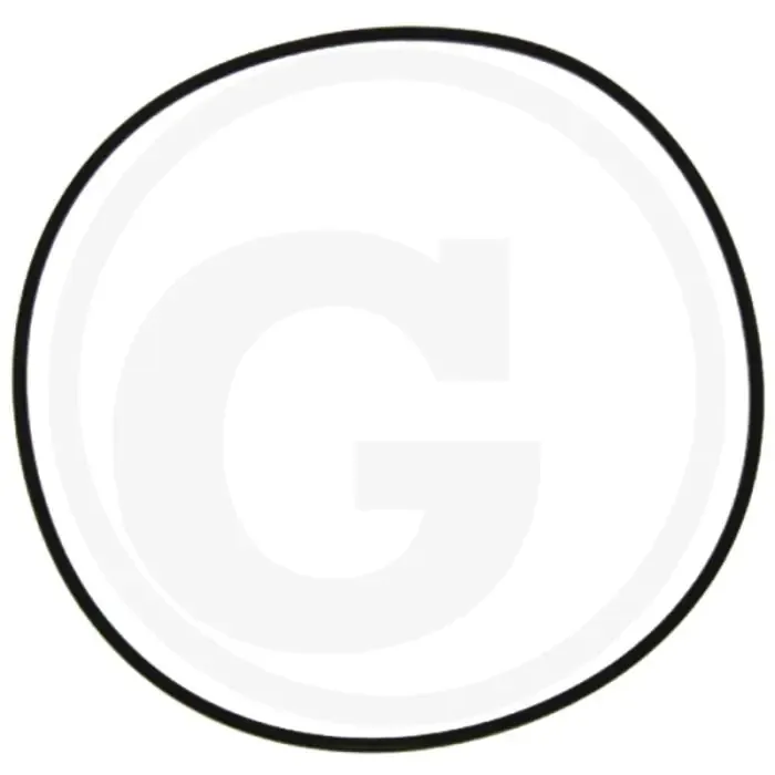 Aanbieding O-ring (lagerdeksel vliegwielzijde)