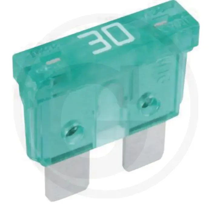Direct Beschikbaar Steekzekeringen, standaard (32 volt maximaal / 30 A | groen | VPE 1)