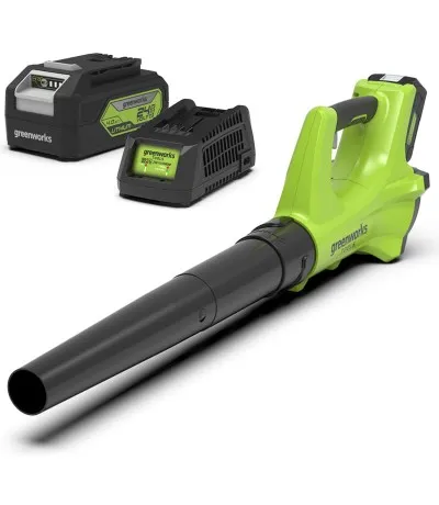 Populair Greenworks 24 Volt Accu Bladblazer met 4.0 Ah accu en lader